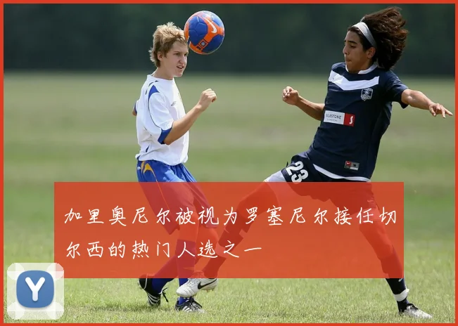 加里奥尼尔被视为罗塞尼尔接任切尔西的热门人选之一